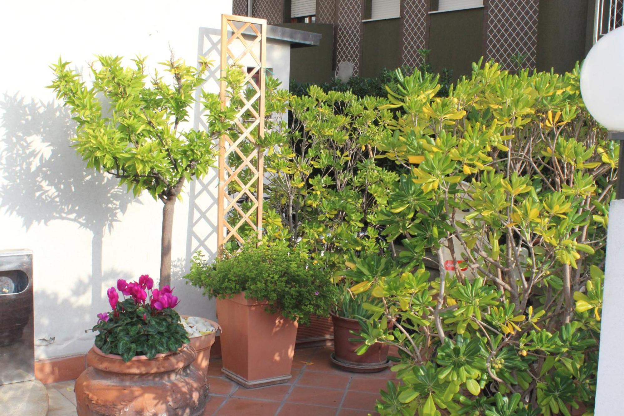 Arcangelo Roof Hotel Римини Екстериор снимка